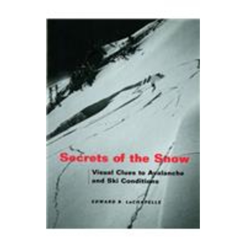 secrets of the snow: visual clues to avalanche and ski conditions