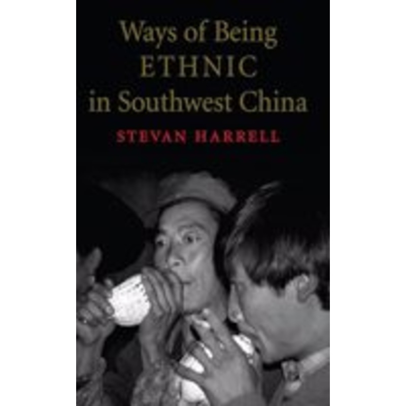 ways of being ethnic in southwest china