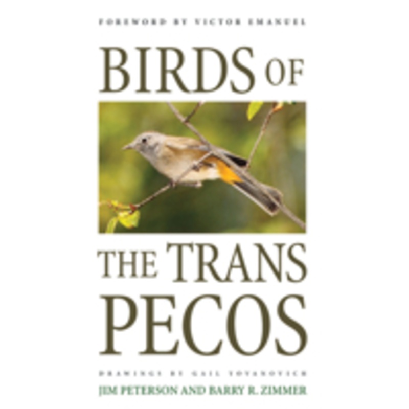birds of the trans-pecos