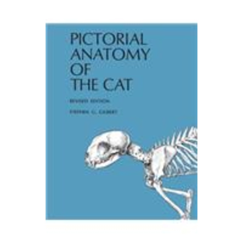 pictorial anatomy of the cat
