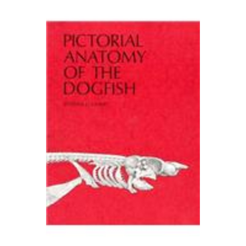 pictorial anatomy of the dogfish