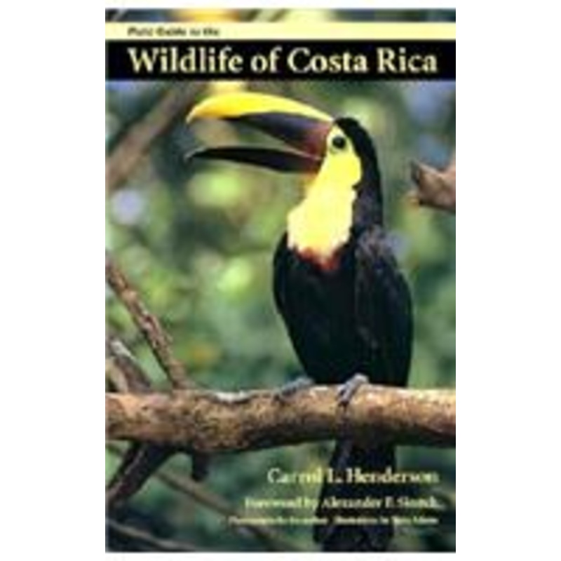 field guide to the wildlife of costa rica