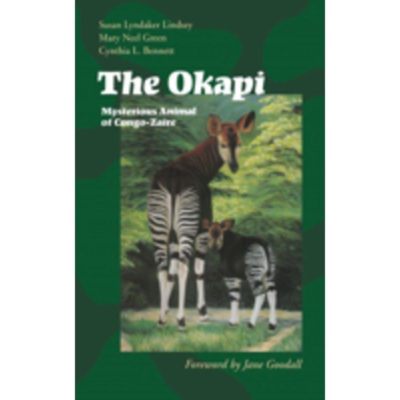 okapi: mysterious animal of congo-zaire