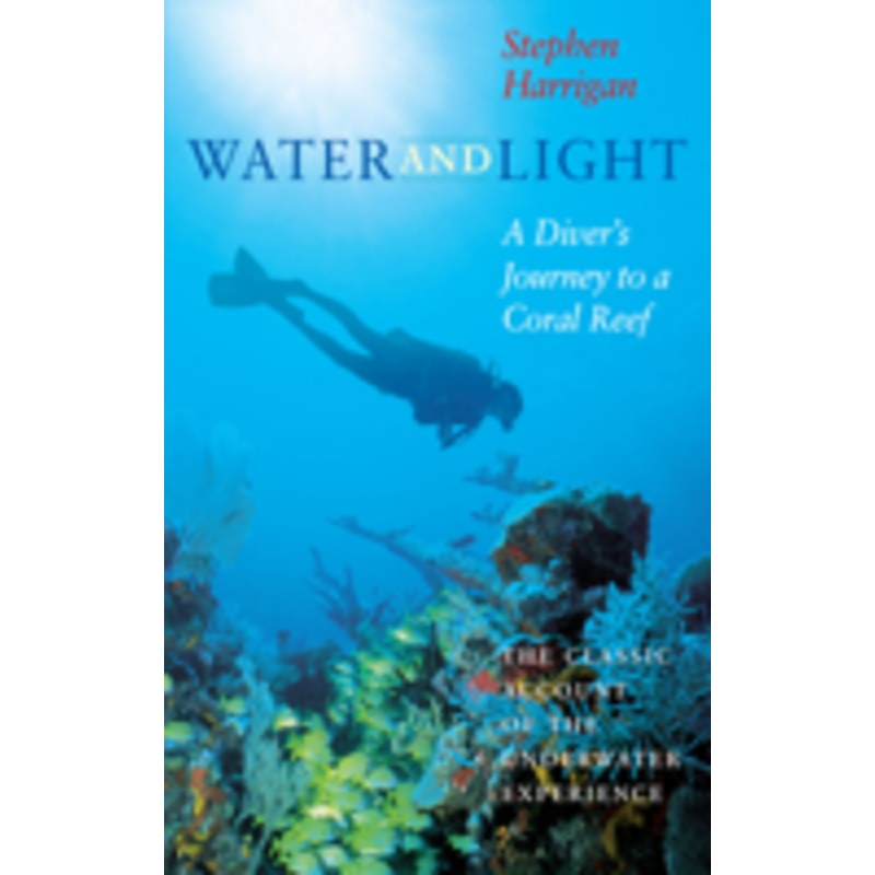 water and light: a diver’s journey to a coral reef