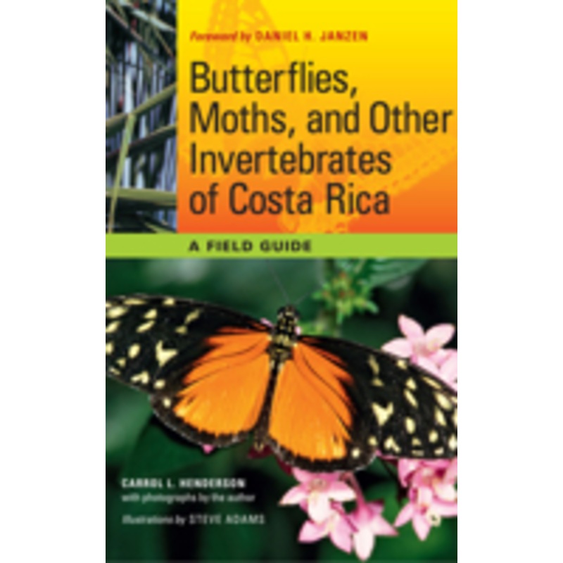 butterflies, moths, and other invertebrates of costa rica: a field guide