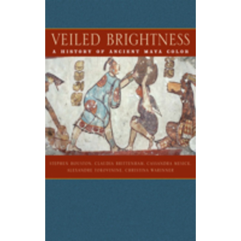 veiled brightness: a history of ancient maya color