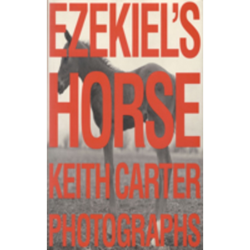 ezekiel’s horse: photographs
