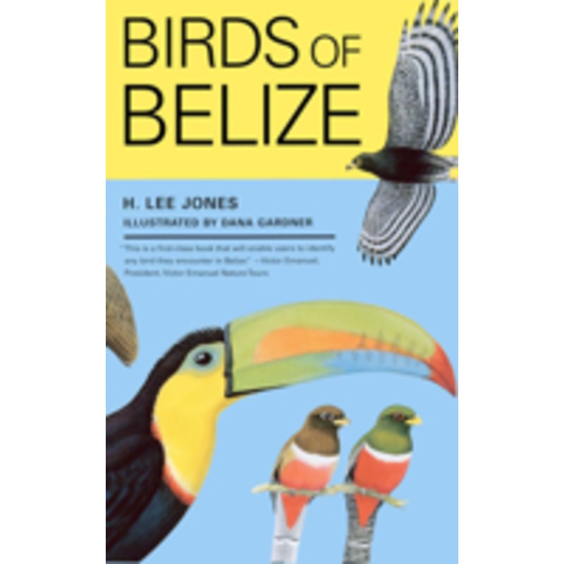 birds of belize