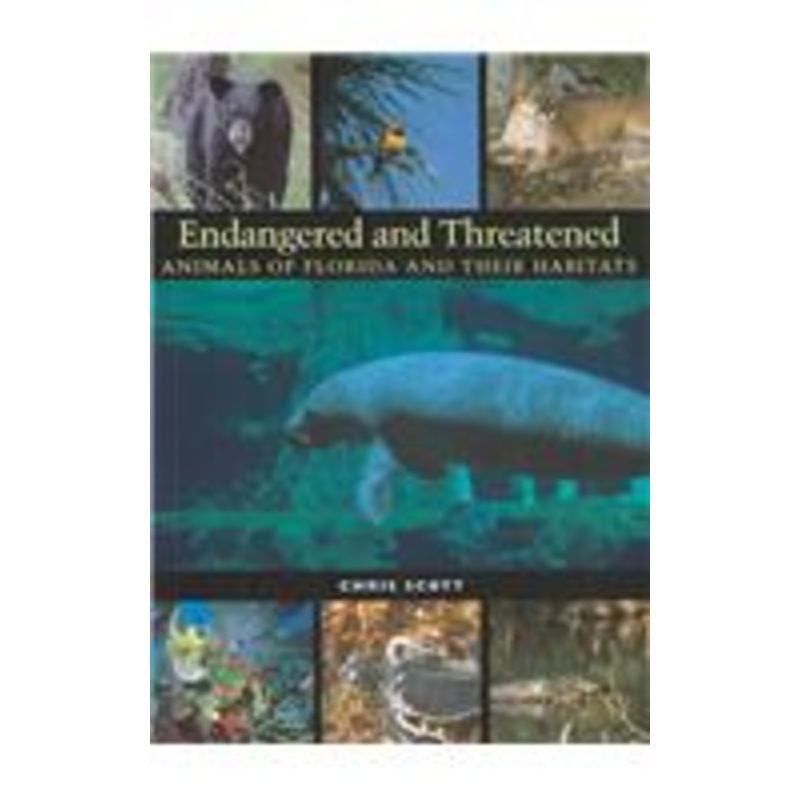 endangered and threatened animals of florida and their habitats