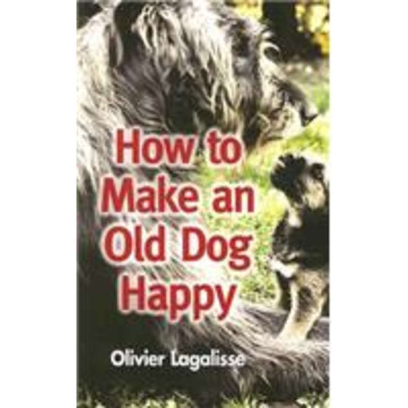 how to make an old dog happy