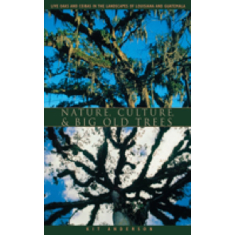 nature, culture, and big old trees: live oaks and ceibas in the landscapes of louisiana and guatemala