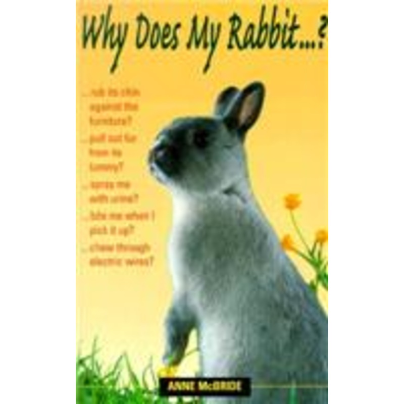 why does my rabbit . . . ?