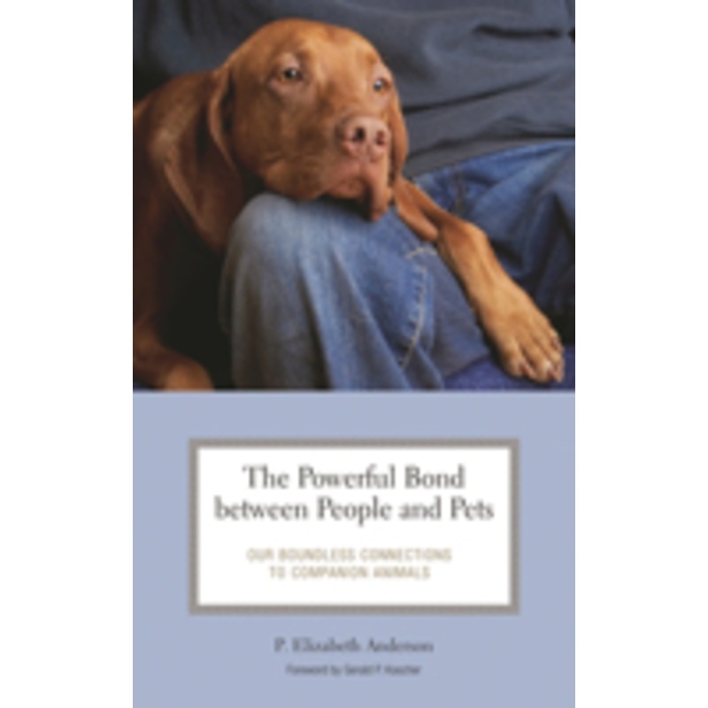 powerful bond between people and pets: our boundless connections to companion animals