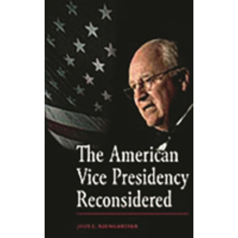 american vice presidency reconsidered