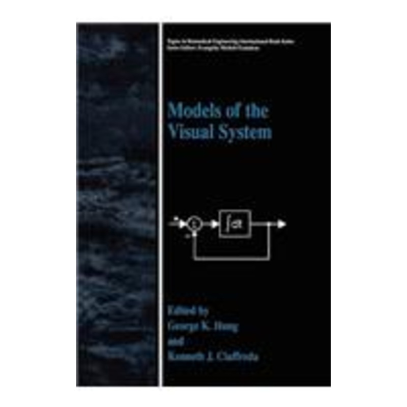 models of the visual system
