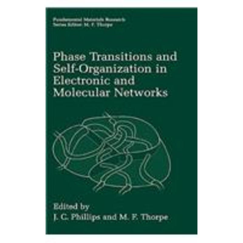 phase transitions and self-organization in electronic and molecular networks