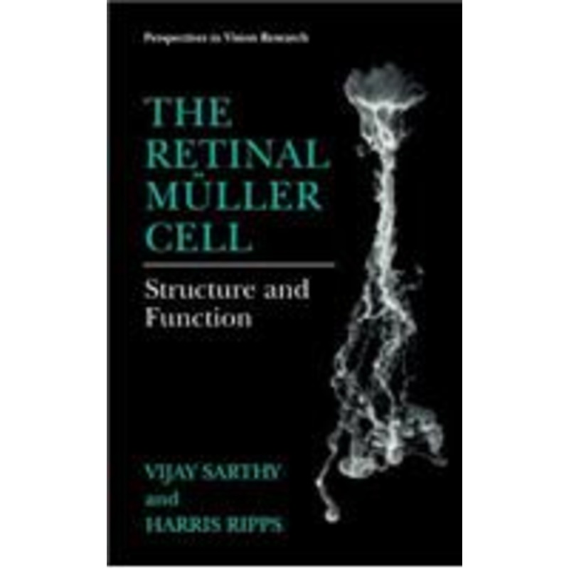 retinal mller cell: structure and function