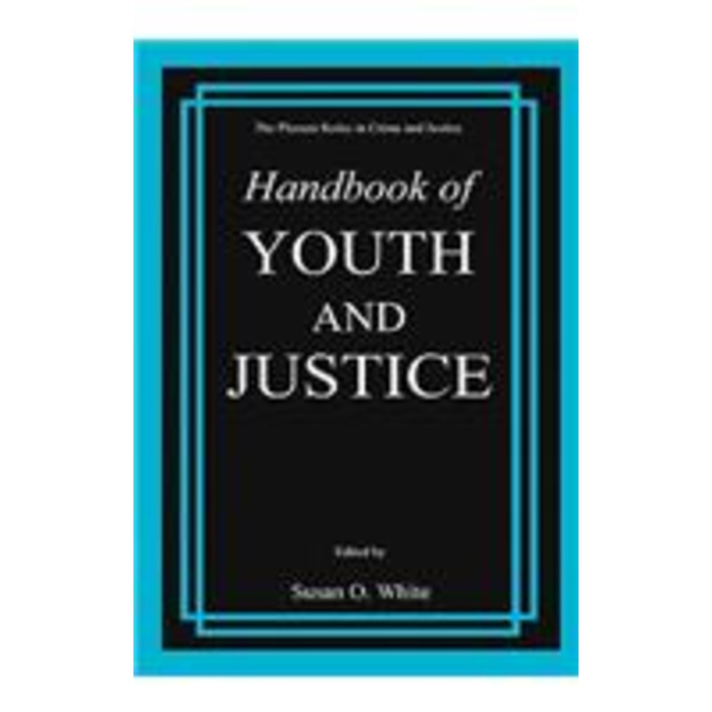 handbook of youth and justice