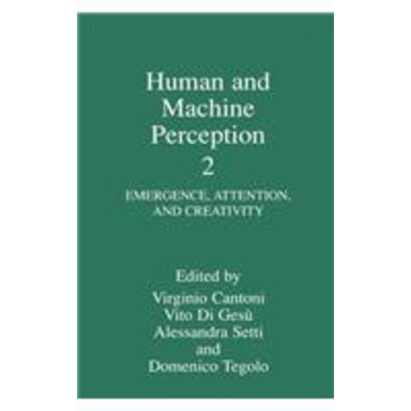 human and machine perception ii: emergence, attention and creativity