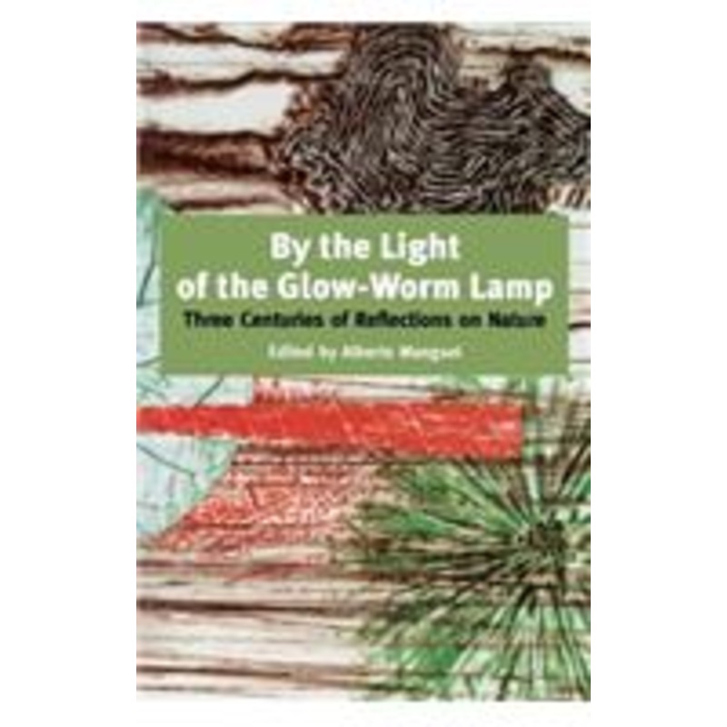 by the light of the glow-worm lamp