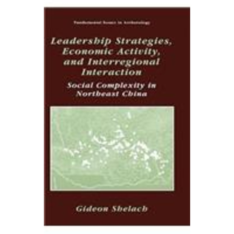 leadership strategies, economic activity, and interregional interaction: social complexity in northeast china