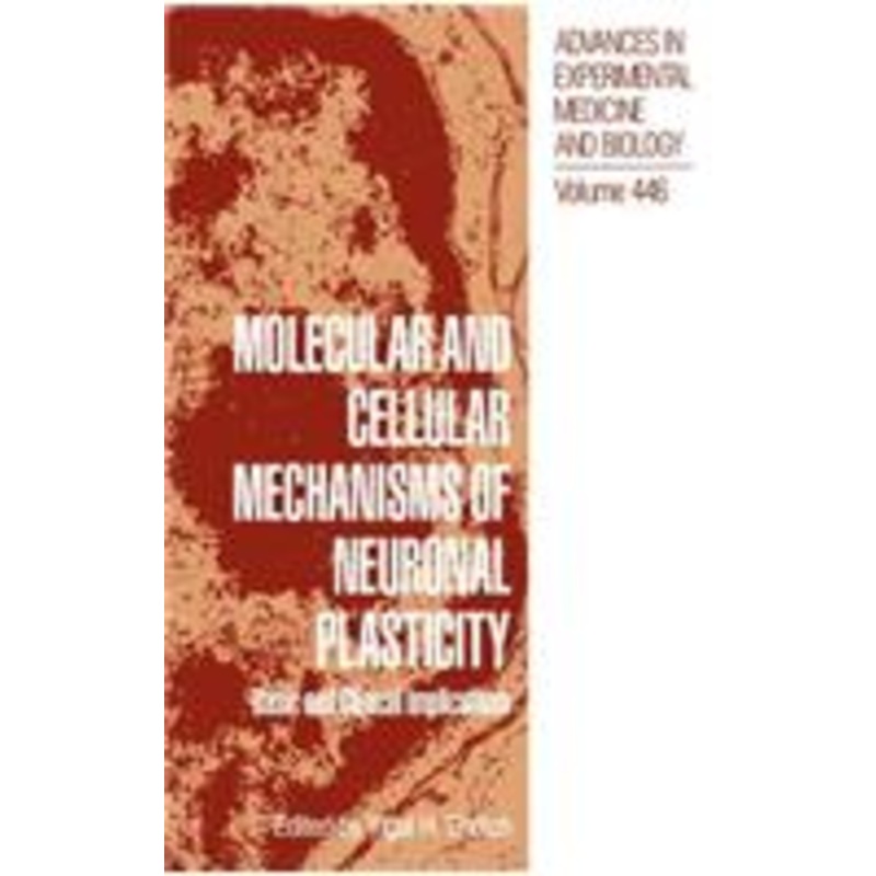 molecular and cellular mechanisms of neuronal plasticity: basic and clinical implications
