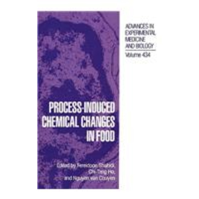 process-induced chemical changes in food