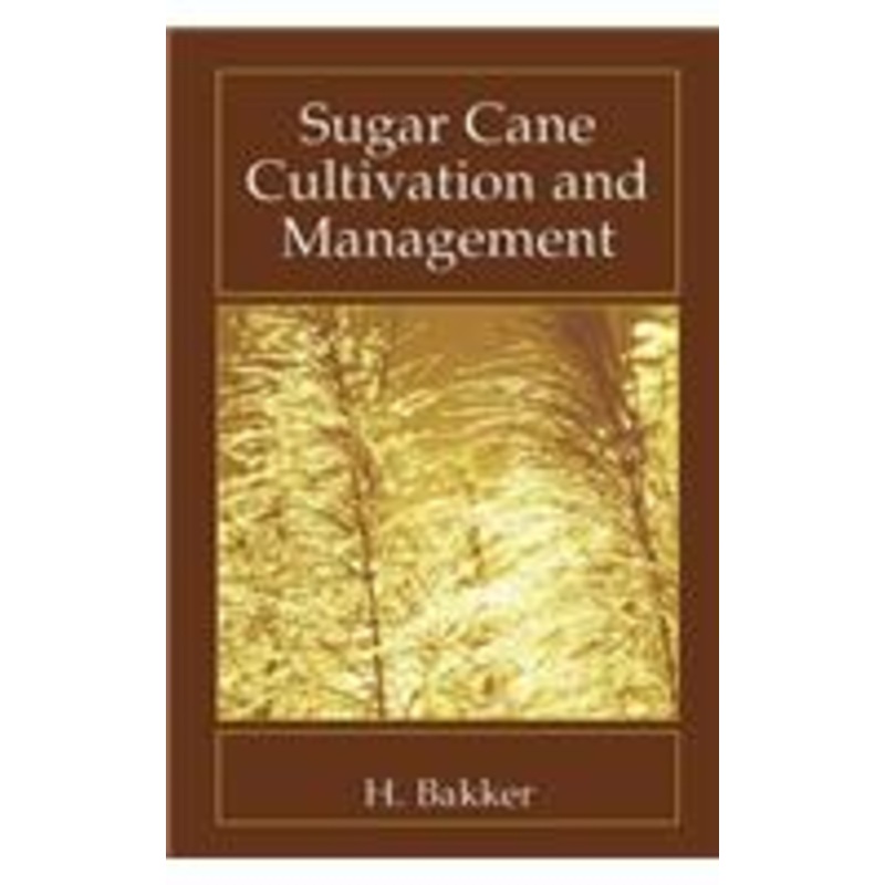 sugar cane cultivation and management