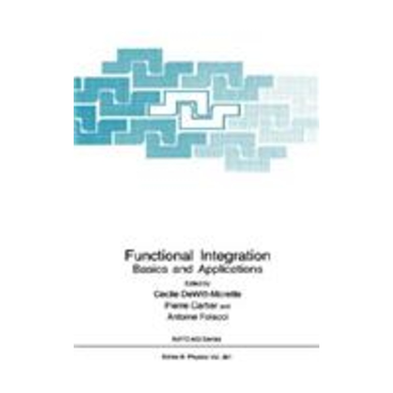 functional integration: basics and applications