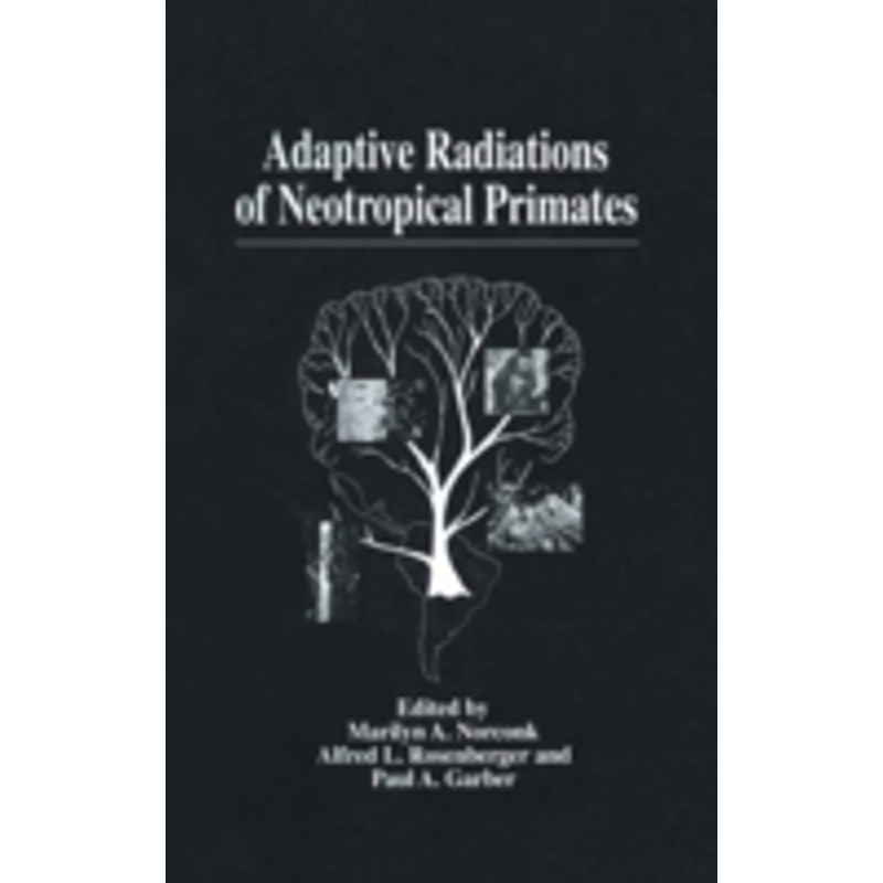 adaptive radiations of neotropical primates