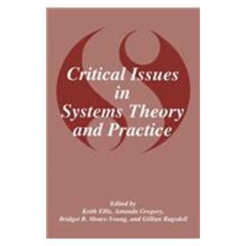 critical issues in systems theory and practice