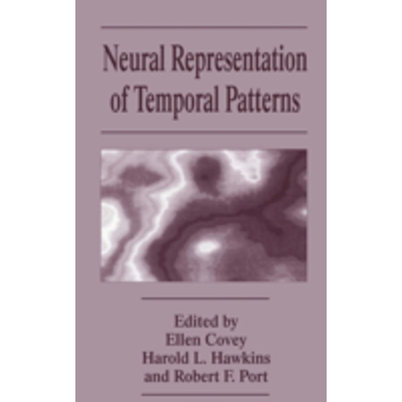 neural representation of temporal patterns