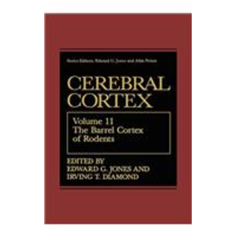 barrel cortex of rodents
