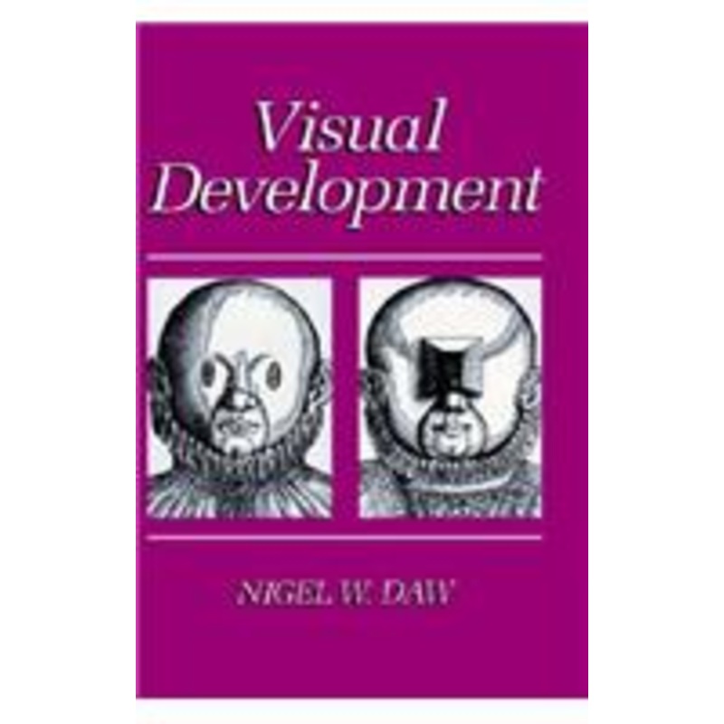 visual development