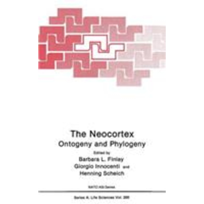 neocortex: ontogeny and phylogeny