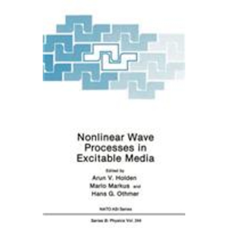 nonlinear wave processes in excitable media