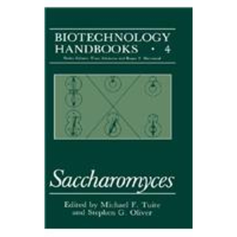 saccharomyces