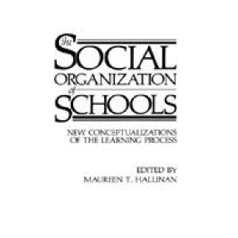 social organization of schools: new conceptualizations of the learning process