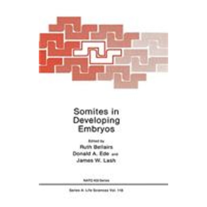 somites in developing embryos
