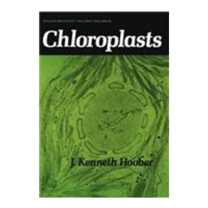 chloroplasts