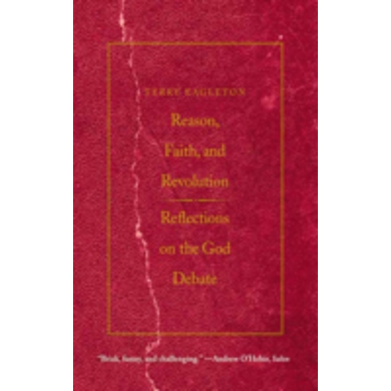 reason, faith, and revolution: reflections on the god debate