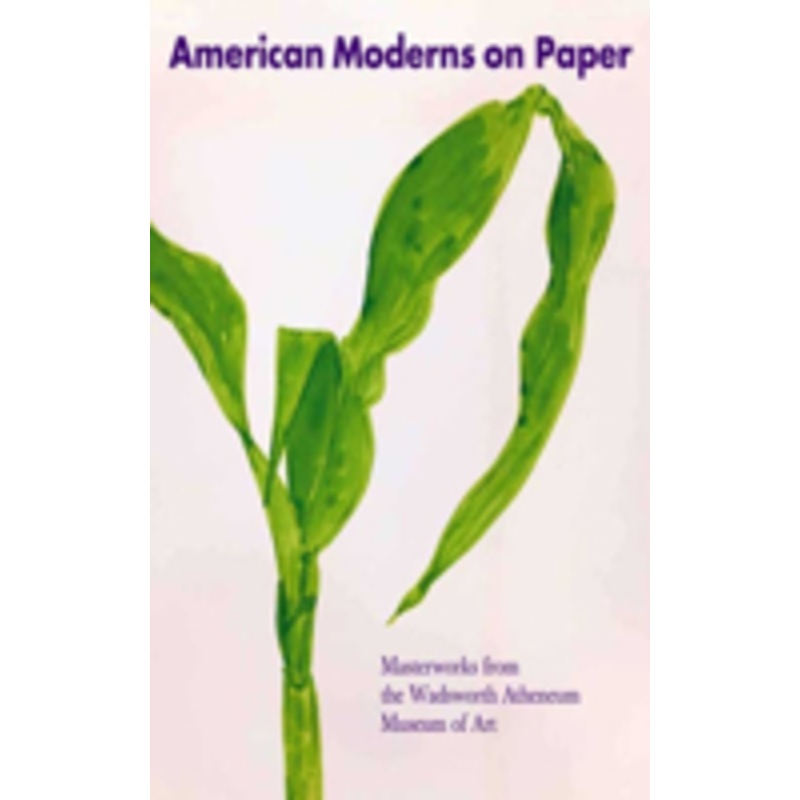 american moderns on paper: masterworks from the wadsworth atheneum museum of art