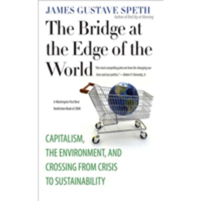 bridge at the edge of the world: capitalism, the environment, and crossing from crisis to sustainability