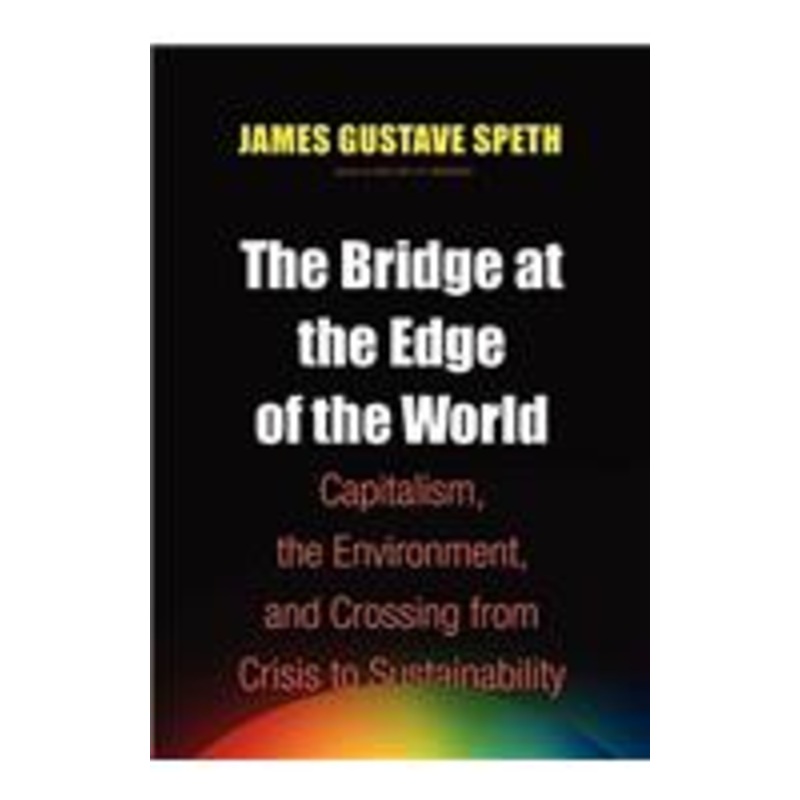 bridge at the end of the world