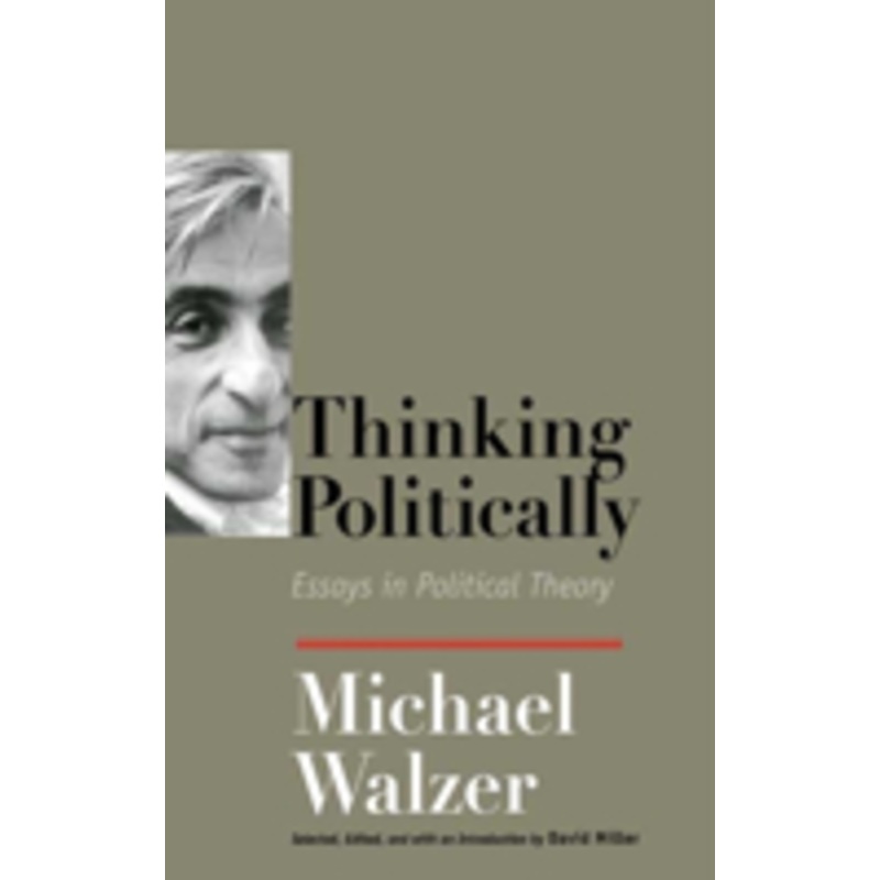 thinking politically: essays in political theory