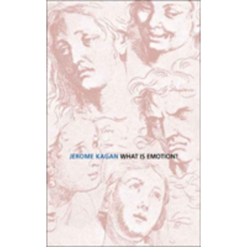 what is emotion?: history, measures, and meanings