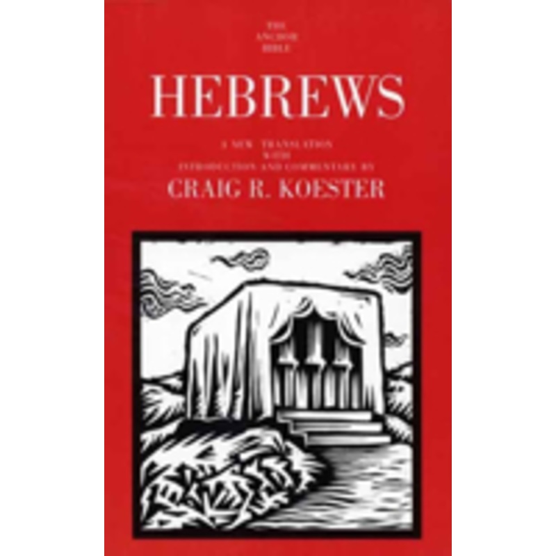 hebrews: a new translation with introduction and commentary