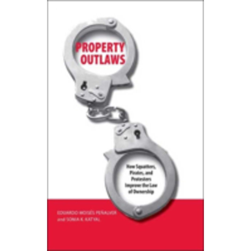 property outlaws: how squatters, pirates, and protesters improve the law of ownership