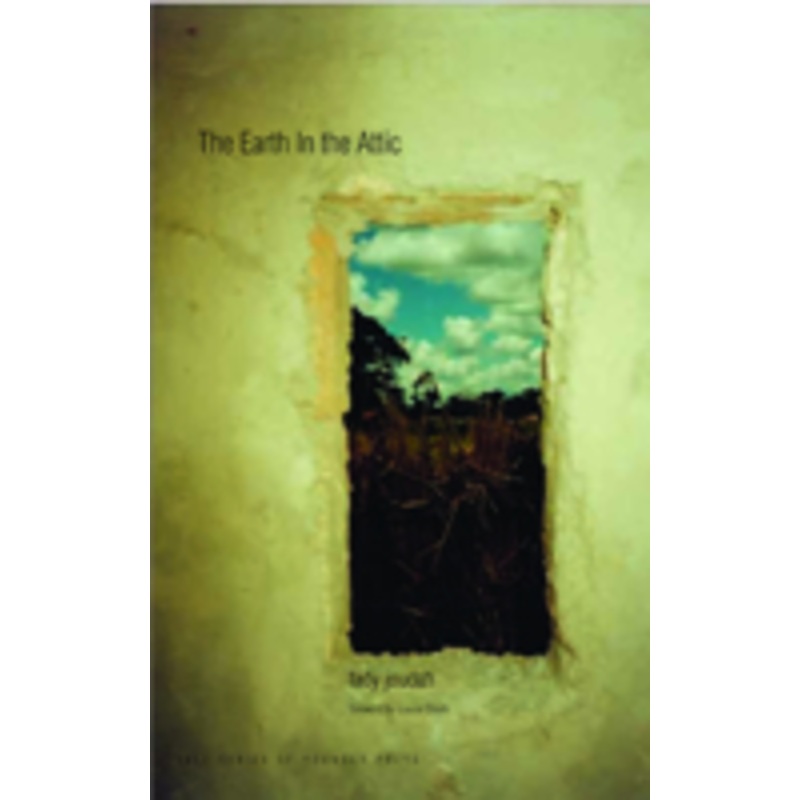 the earth in the attic