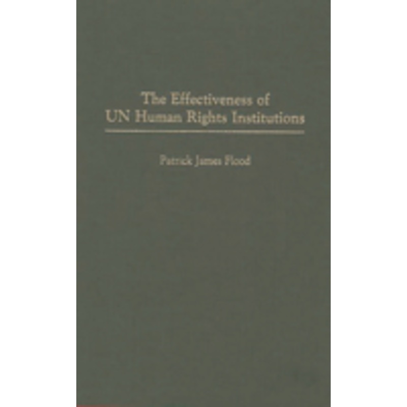 effectiveness of un human rights institutions